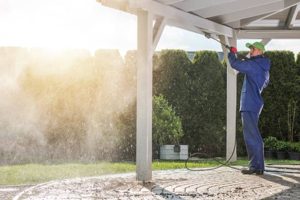 Best Driveway Cleaning and Restoration in Highland Springs, VA