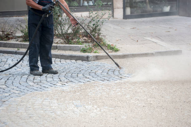 Best Window and Screen Pressure Cleaning in Highland Springs, VA